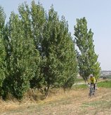 Fent bicicleta per la comarca