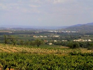 La plana del Penedès des dels Pujols a La Granada.