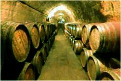 Celler. Bodegues Torres