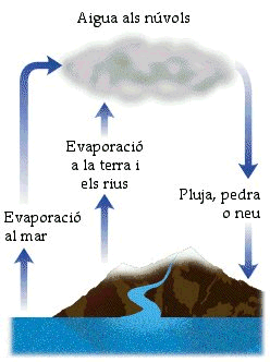 Veure el cicle de l'aigua